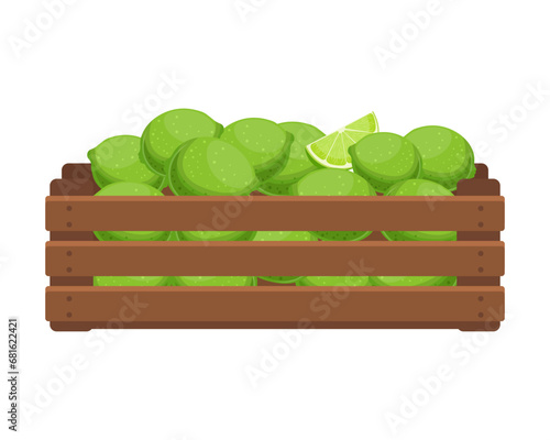 Wooden box with green limes. Healthy food, fruits, agriculture illustration, vector