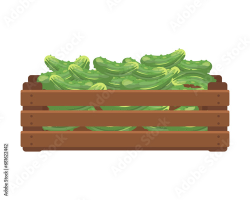 Wooden box with cucumbers. Healthy food, vegetables, agriculture illustration, vector