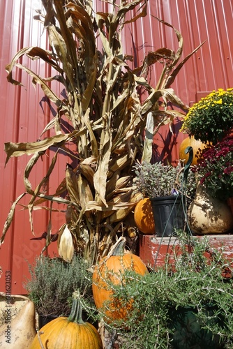 Autumn farm display in rural Maryland