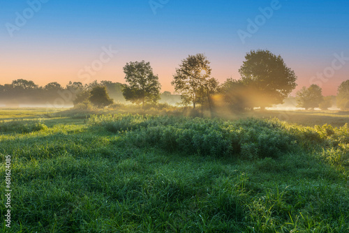 A beautiful autumn morning with low fogs on a meadow with trees through which the rays of the sun shine.