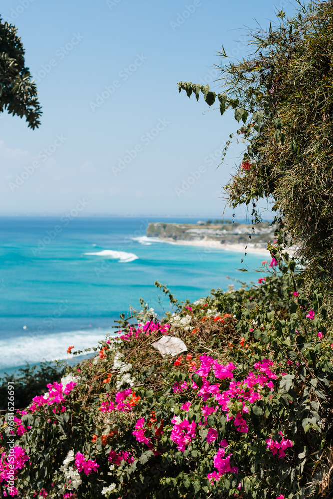 Beautiful flowering trees on the background of the ocean and the shore of the island