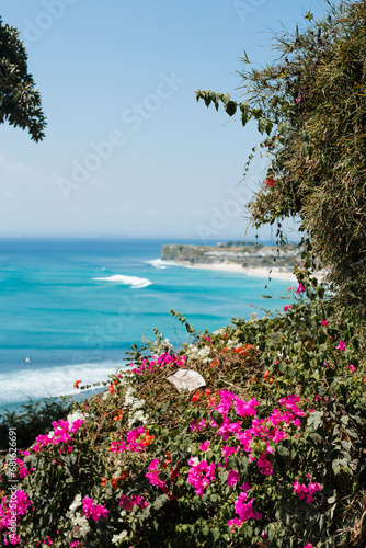 Beautiful flowering trees on the background of the ocean and the shore of the island