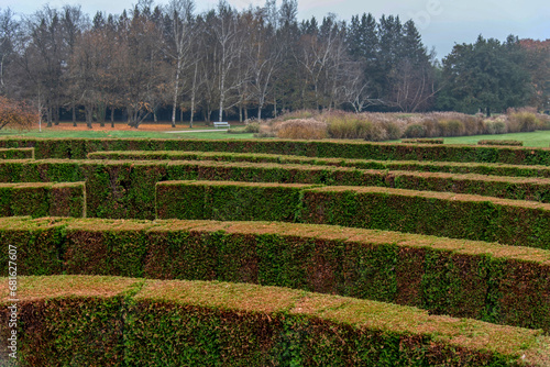 puzzle pattern forming a garden labyrinth