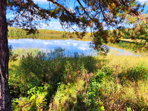 Beautiful colorful summer spring natural landscape with a lake in Park surrounded by green foliage of trees in sunlight. Water through the branches of trees