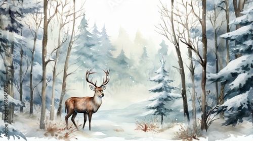 deer in the snow © Muhammad