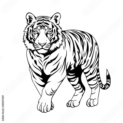 Fototapeta Naklejka Na Ścianę i Meble -  Bengal Tiger
