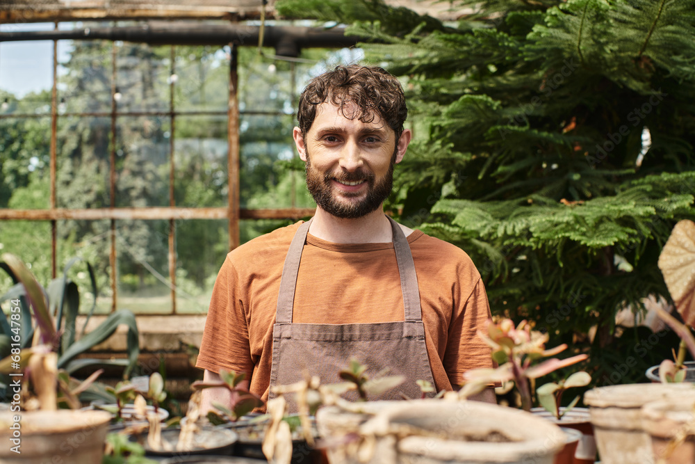 happy bearded gardener in linen apron looking at camera around plants in greenhouse, horticulture happy bearded gardener in linen apron looking at camera around plants in greenhouse, horticulture
