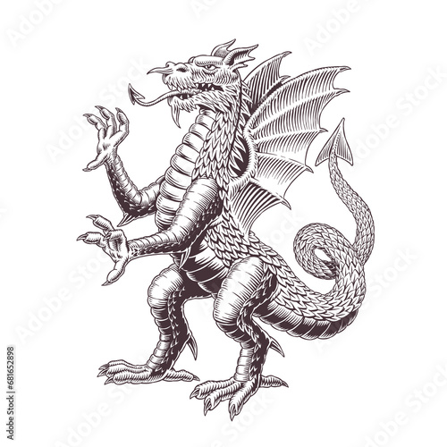 Dragon tattoo, print or sign design. traditional medieval welsh dragon with wings standing isolated. Ancient engraving style monochrome black and white illustration
