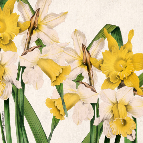 Floral design. Daffodil Flowers. Digital floral watercolor vibes on textured beige. Perfect for cool creative projects. Ideal for a square format..