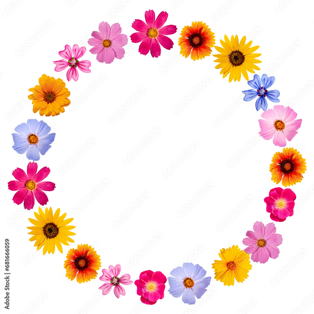 Summer composition. Wreath of bright colorful summer flowers isolated on transparent background, round frame. Plant design for round drink coaster, table mat, dining mat, cup mat, greeting card. Summer composition. Wreath of bright colorful summer flowers isolated on transparent background, round frame. Plant design for round drink coaster, table mat, dining mat, cup mat, greeting card.