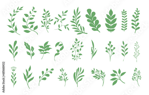 Set of elegant silhouettes of flowers  branches and leaves. Thin hand drawn vector botanical elements