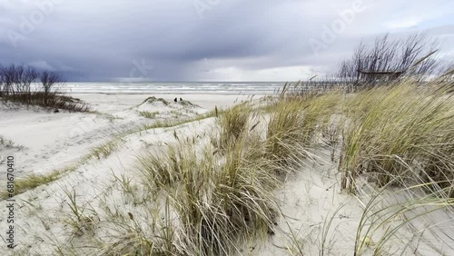 Autumn Day at Seaside with Sand Dunes and Grass in The Wind and Cloudy Sky HDR Video Footage