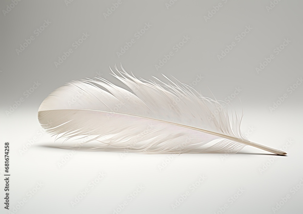A minimalist composition featuring a single white feather delicately resting on a white background.