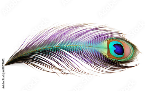 Stunning a Beautiful Marco Photograph of a Dazzling Peacock Feather Isolated on Transparent Background PNG.