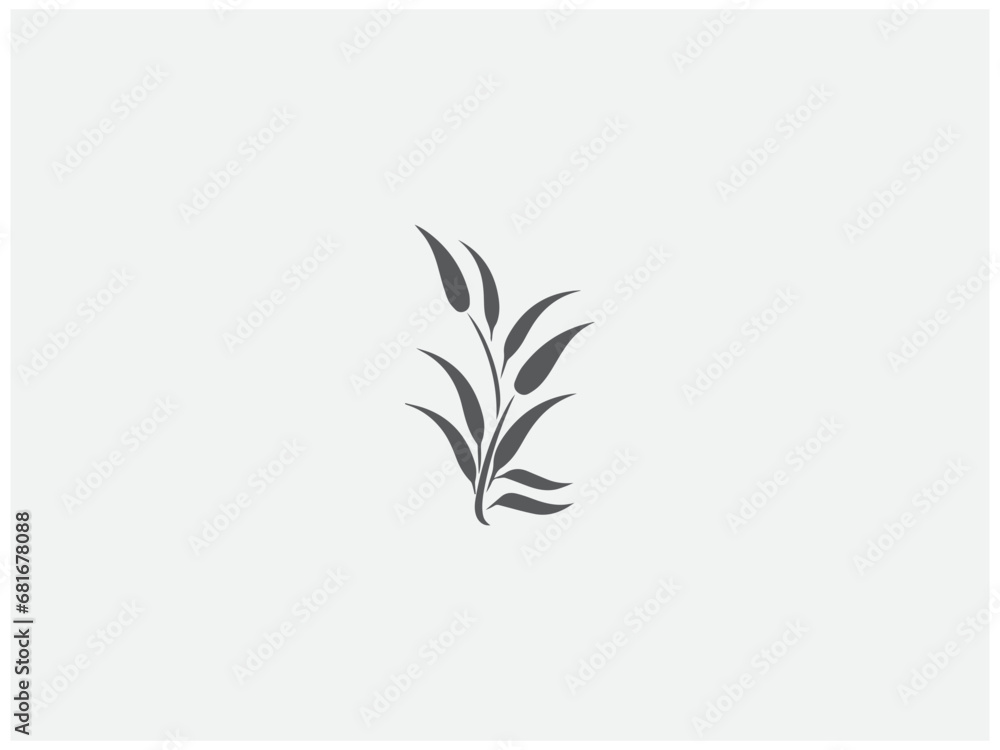 premium rice plant logo vector, vector and illustration,
