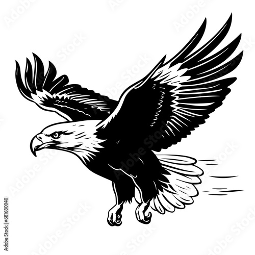 Flying Bald Eagle photo