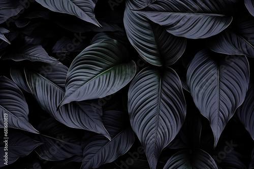 Textures of abstract black leaves for tropical leaf background. Flat lay  dark nature concept  tropical leaf.