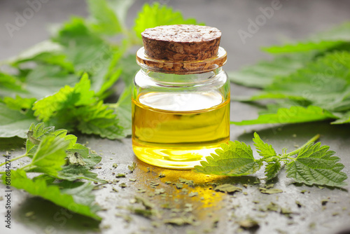 Nettle leaf oil with fresh green leaves on black rustic table, closeup, copy space, natural medicine, diet food and drink, homeoparhy, hair and skin healthy care, detox and diet healthy food concept