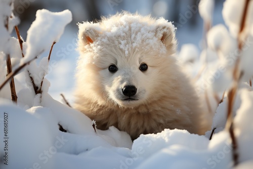 A photo of Cute Samoyed puppy on snow in winter forest closeup Generative AI