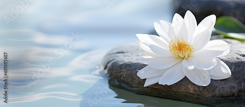 In the serene and luxurious spa, a beautiful white flower, symbolizing purity and tranquility, bloomed in perfect isolation against a crisp white background. Surrounded by the vibrant green of nature