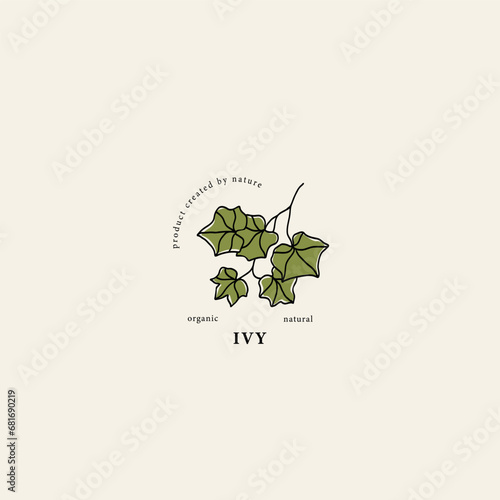 Line art ivy branch drawing
