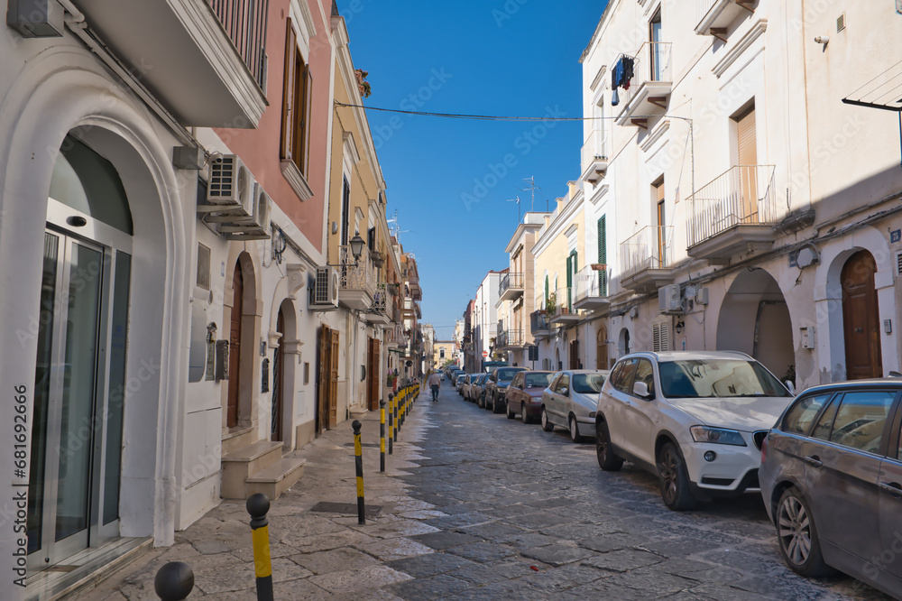 typical natural stone paved street in Manfredonia, Italy
