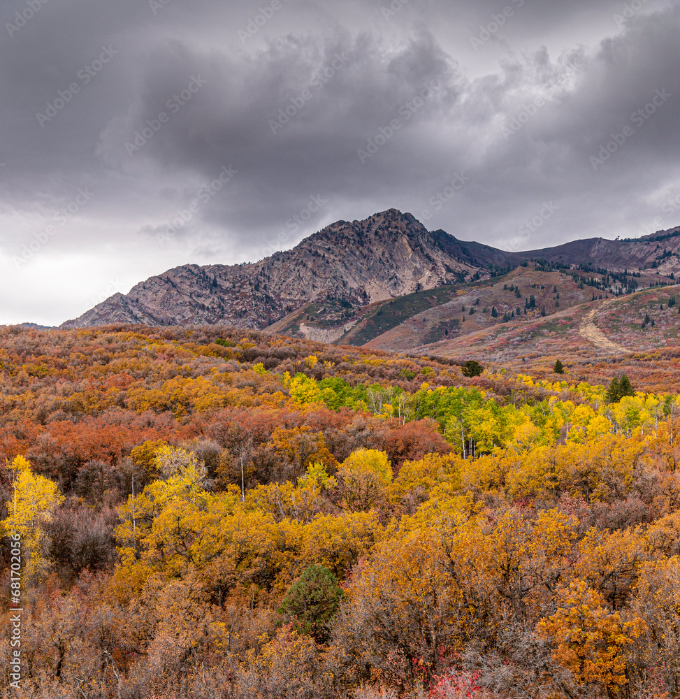 Naklejka premium autumn in the mountains