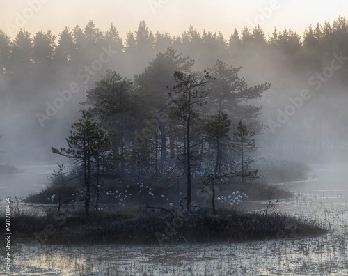 foggy morning in the swamp. Karelia photo