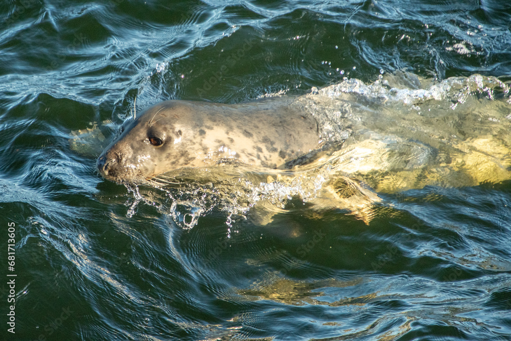 Obraz premium Ullapool