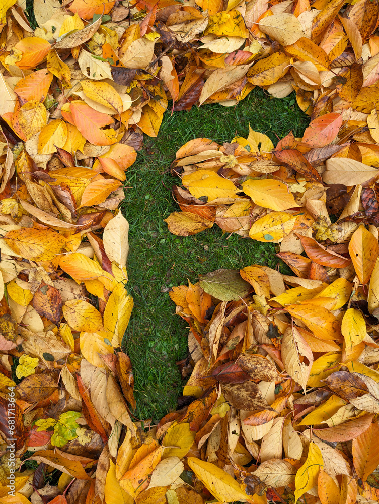 The letter F formed from colorful autumn leaves on grass