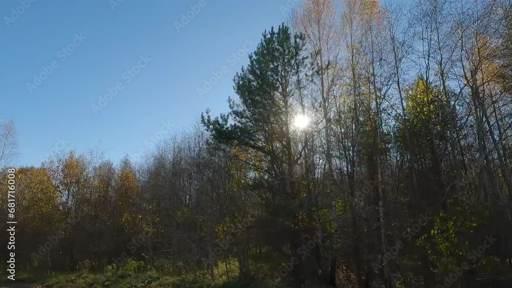 Evening view from the car window, passage against the background of sunset, sun rays and glare through trees Evening view from the car window, passage against the background of sunset, sun rays and glare through trees