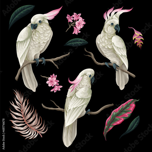 Cockatoo, tropical leaves and flowers isolated. Vector.