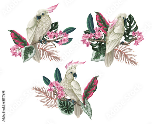 Cockatoo, tropical leaves and flowers isolated. Vector.