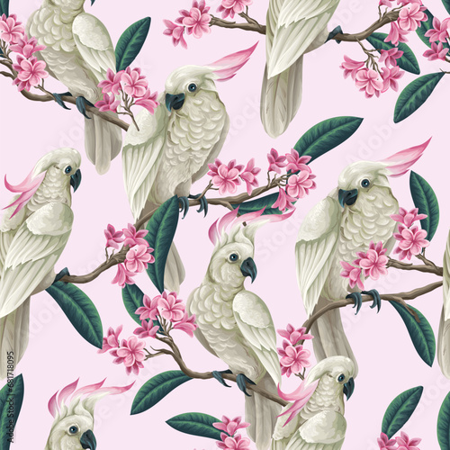 Seamless pattern with cockatoo, tropical leaves and flowers. Vector.