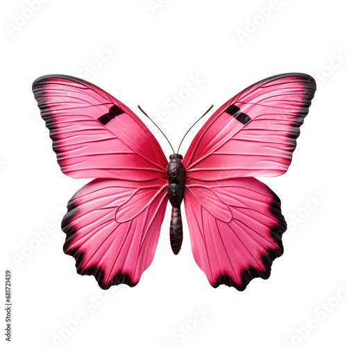 Pink butterfly , isolated on transparent
