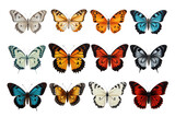 Big collection of colorful butterflies isolated on transparent