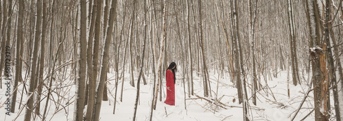 art portrait of woman in long red dress in white snow forest landscape photo