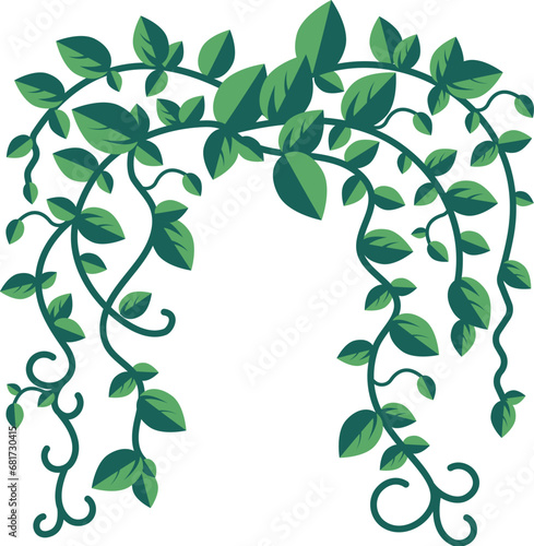 Liana branch. Simple shape silhouette of curve liana plant. Liana shrub. Isolated floral swirly jungle herb. Climbing leaves.