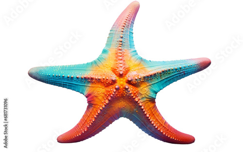 Beautiful Starfish with Vibrant Colors and Texture Isolated on Transparent Background PNG.