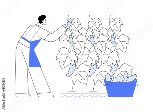 Hydroponic cucumber production abstract concept vector illustration.