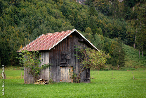 Wooden cabin on green grass meadow in front of fir trees forest