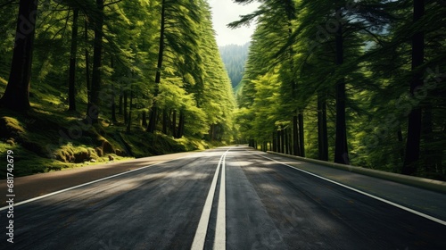 Conquer the scenic route! Drive uphill on a straight asphalt road, surrounded by towering trees. Capture the spirit of adventure with this captivating stock image photo
