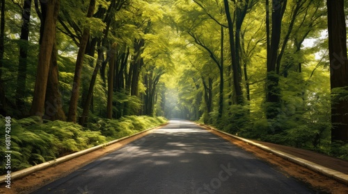 Conquer the scenic route! Drive uphill on a straight asphalt road, surrounded by towering trees. Capture the spirit of adventure with this captivating stock image