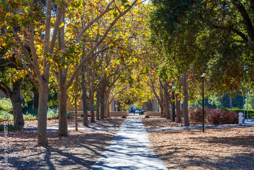 Autumn in the Bay Area. Palo Alto, California photo