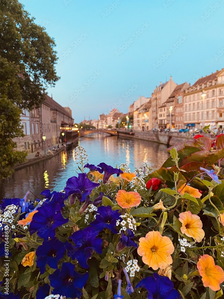 Beautiful flowers and colours from Strasbourg | Alsace | France