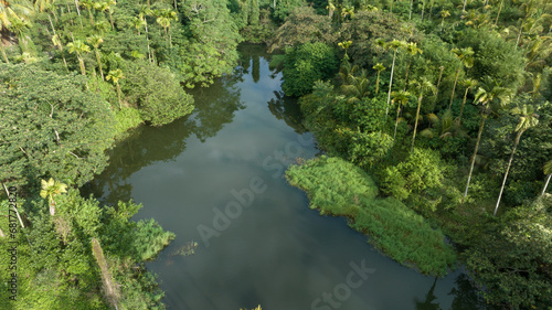 Beautiful landscape in tropical forst © lzf