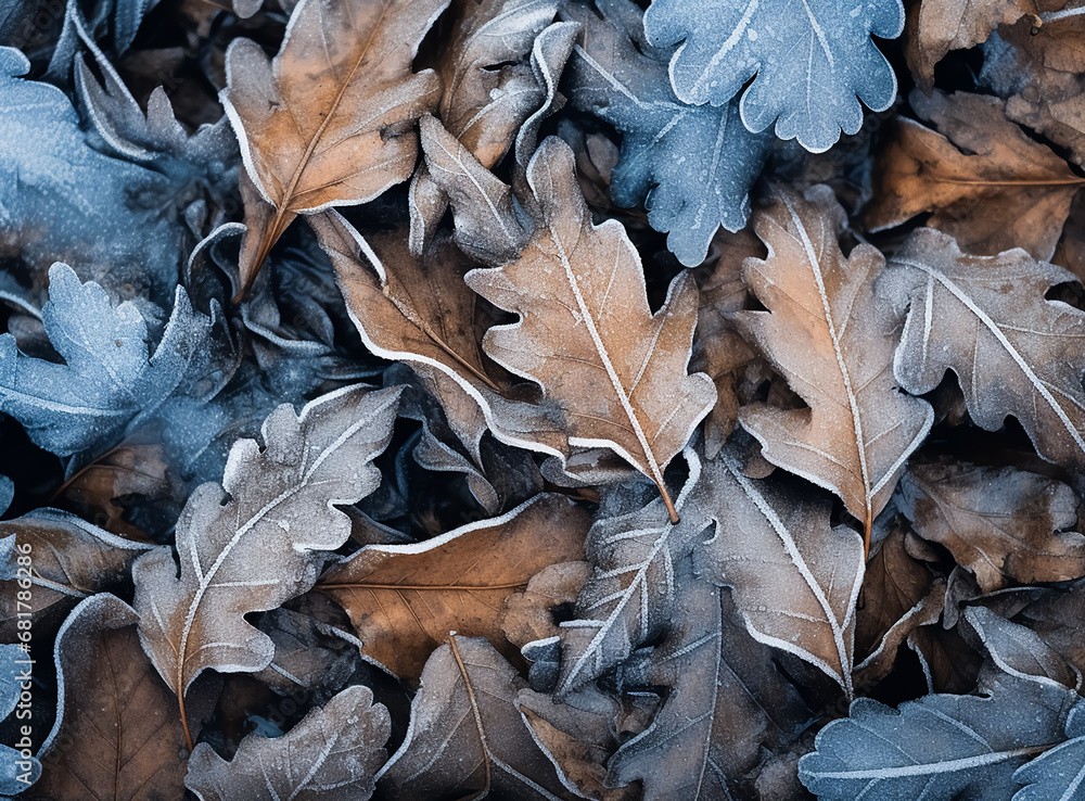 Nice macro autumn colorful leaves frosted with ice, cold weather, natural leaves pattern Nice macro autumn colorful leaves frosted with ice, cold weather, natural leaves pattern