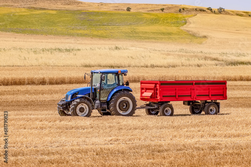 Harvest aerial landscape of combine harvester cutting summer wheat field crop with tractor trailer and blue sky on farm