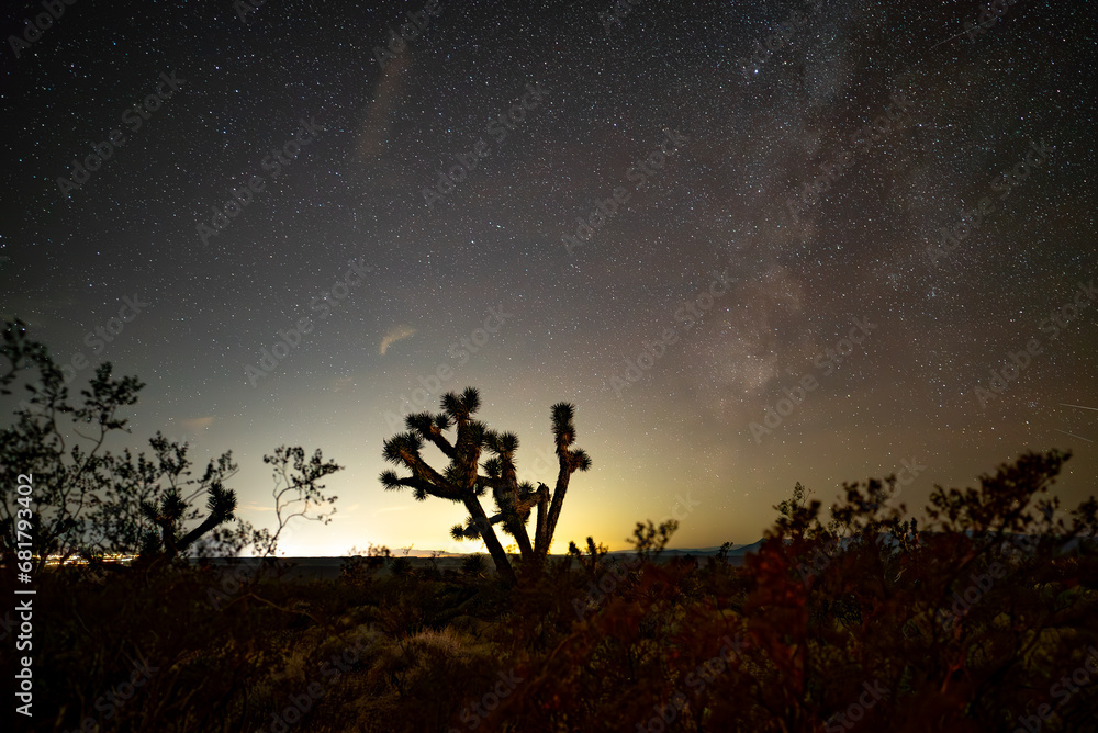 Milky Way with the silhouette of a Joshua tree in the foreground