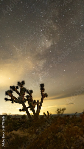 Milky Way over a Joshua tree in the Mojave Desert